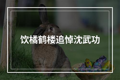 饮橘鹤楼追悼沈武功