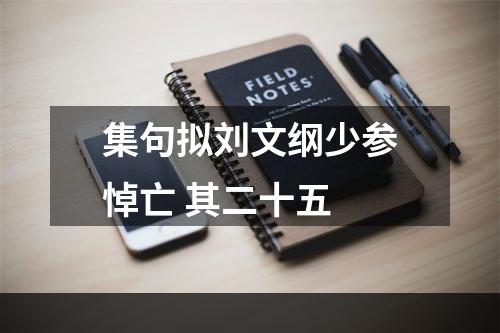 集句拟刘文纲少参悼亡 其二十五