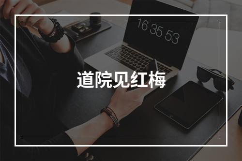 道院见红梅