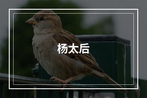 杨太后