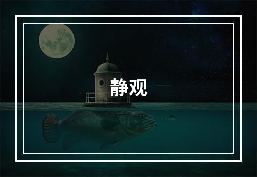 静观