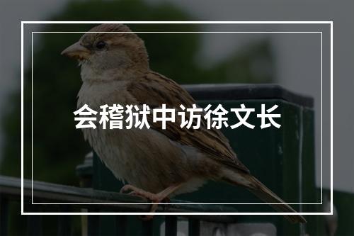 会稽狱中访徐文长
