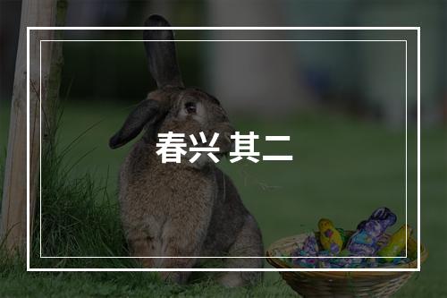 春兴 其二