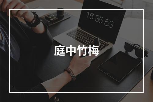 庭中竹梅