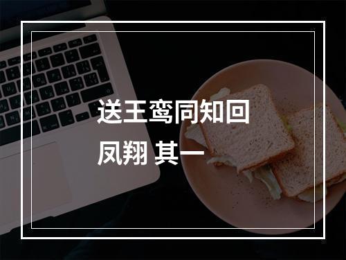 送王鸾同知回凤翔 其一