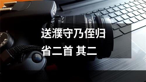 送濮守乃侄归省二首 其二