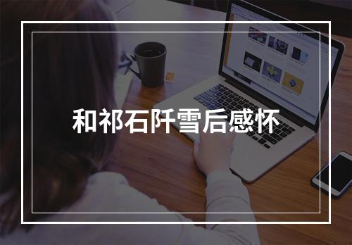 和祁石阡雪后感怀