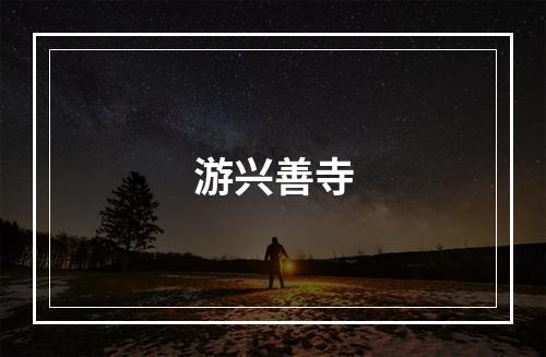 游兴善寺
