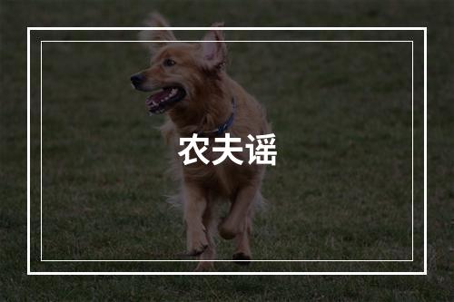 农夫谣