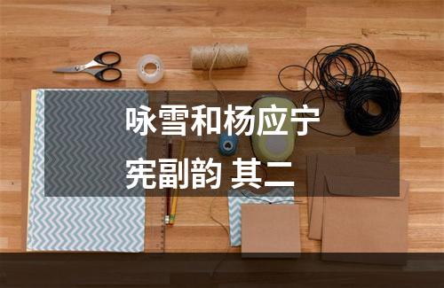 咏雪和杨应宁宪副韵 其二