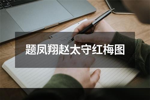 题凤翔赵太守红梅图