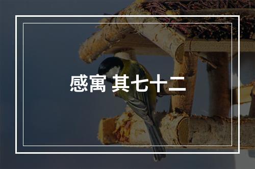 感寓 其七十二