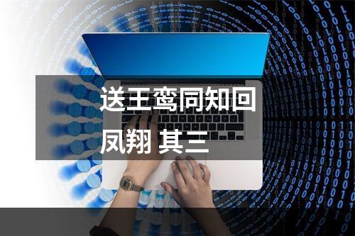 送王鸾同知回凤翔 其三