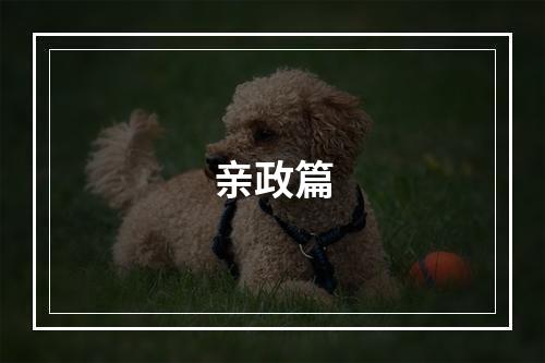 亲政篇