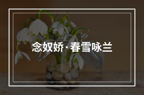 念奴娇·春雪咏兰