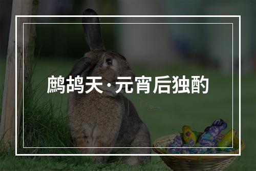 鹧鸪天·元宵后独酌