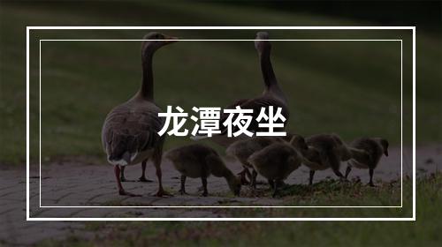 龙潭夜坐