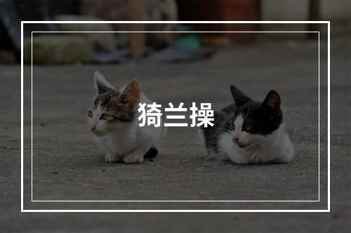 猗兰操