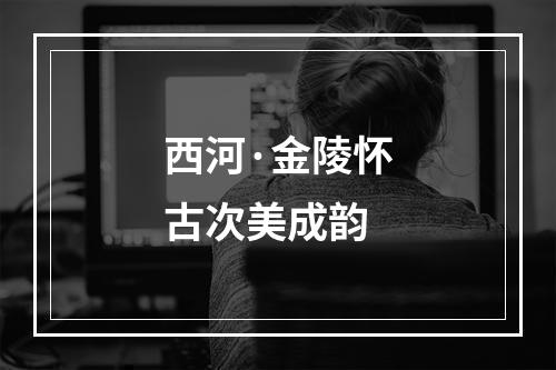 西河·金陵怀古次美成韵