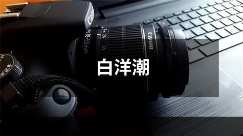 白洋潮