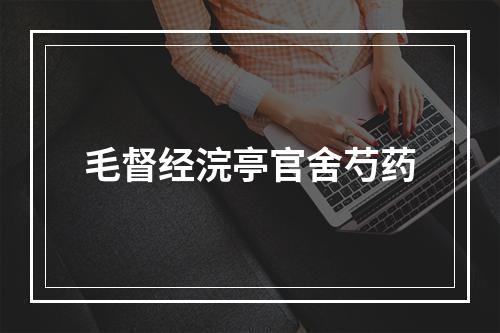 毛督经浣亭官舍芍药