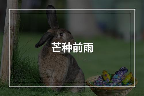 芒种前雨