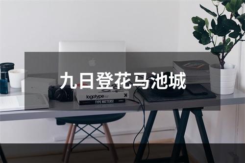 九日登花马池城