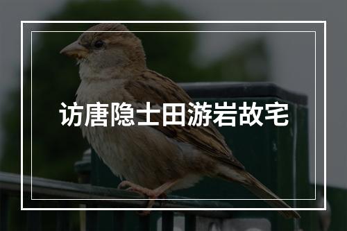 访唐隐士田游岩故宅
