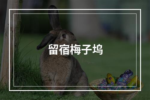 留宿梅子坞