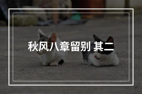 秋风八章留别 其二