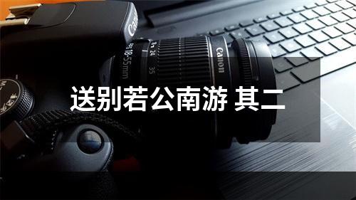 送别若公南游 其二