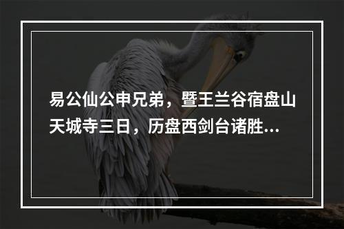 易公仙公申兄弟，暨王兰谷宿盘山天城寺三日，历盘西剑台诸胜而归，未及追陪怅然于怀赋此却寄 其二