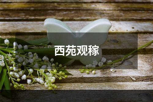 西苑观稼