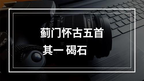 蓟门怀古五首 其一 碣石