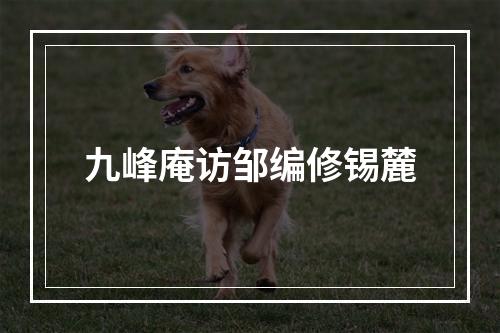 九峰庵访邹编修锡麓