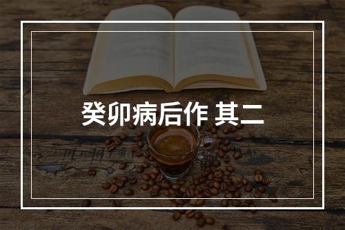 癸卯病后作 其二