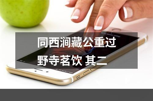 同西涧藏公重过野寺茗饮 其二