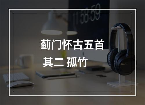 蓟门怀古五首 其二 孤竹