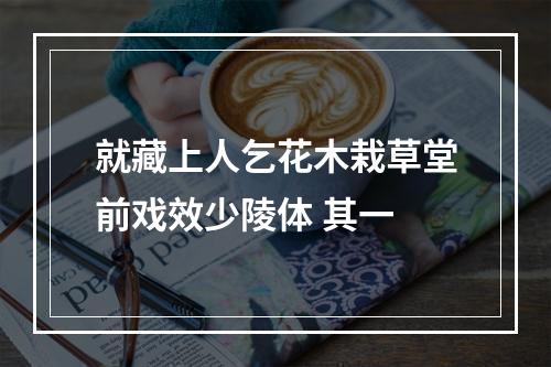 就藏上人乞花木栽草堂前戏效少陵体 其一