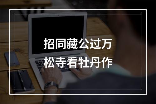 招同藏公过万松寺看牡丹作