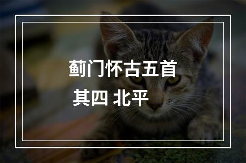 蓟门怀古五首 其四 北平