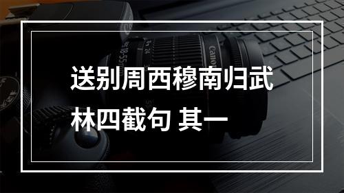 送别周西穆南归武林四截句 其一