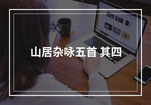 山居杂咏五首 其四