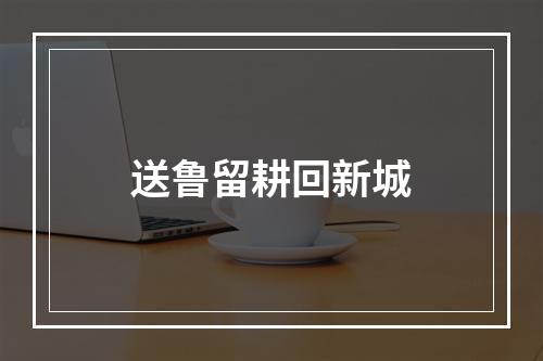 送鲁留耕回新城