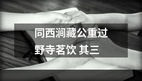 同西涧藏公重过野寺茗饮 其三