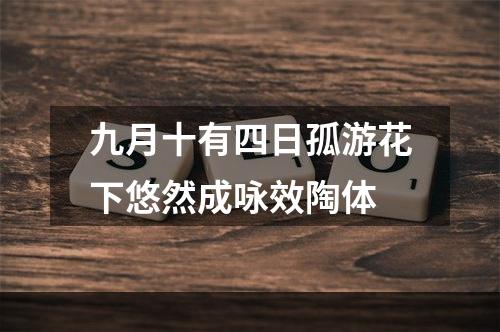 九月十有四日孤游花下悠然成咏效陶体