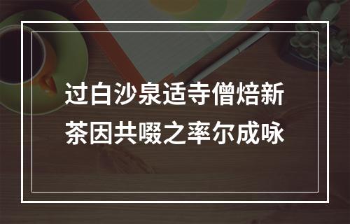 过白沙泉适寺僧焙新茶因共啜之率尔成咏