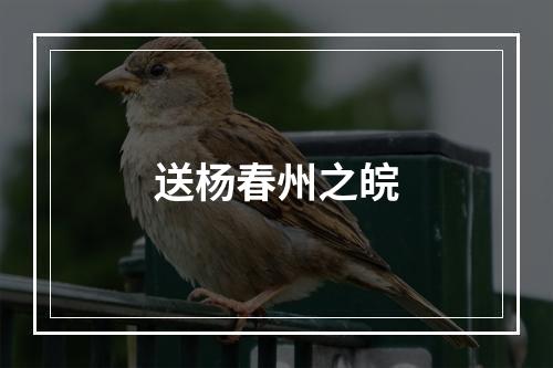 送杨春州之皖