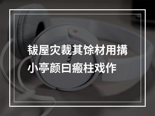 韨屋灾裁其馀材用搆小亭颜曰瘢柱戏作