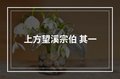 上方望溪宗伯 其一